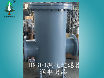 DN300-600大口徑燃氣過濾器